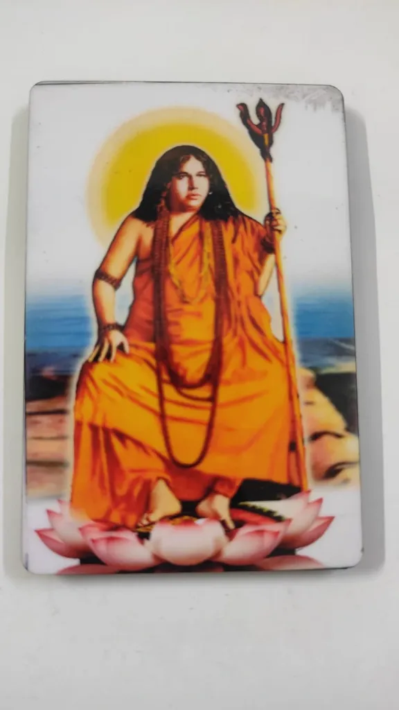 Swami Pranabananda Maharaj